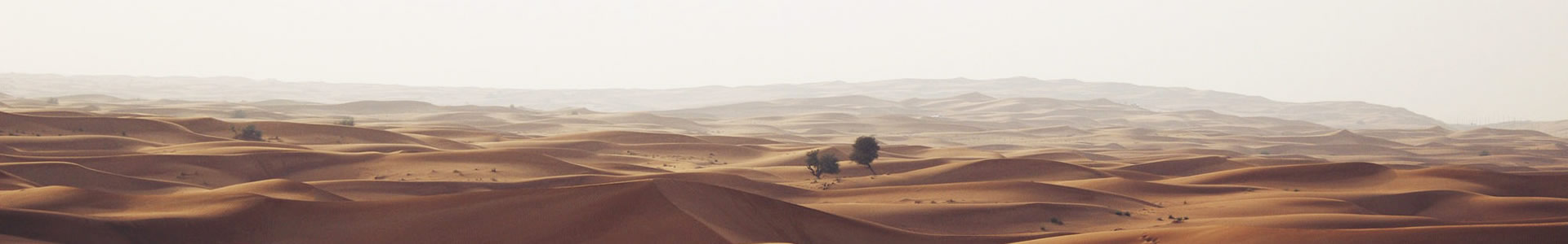 ޱ޹˾